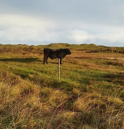 Bed & Breakfast Texel De Koog (Texel)